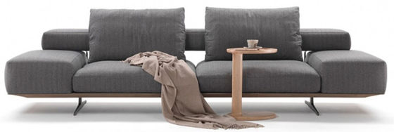 ODM sezionale comodo eccellente di Sofa Ergonomic Living Room Furniture della schiuma ad alta densità