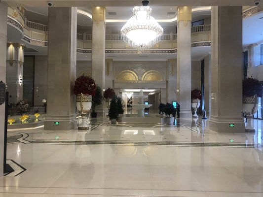 il tavolo da pranzo su ordinazione cinque stelle dell'hotel internazionale dell'hotel ha messo Sofa Set su misura impermeabile Wearproof