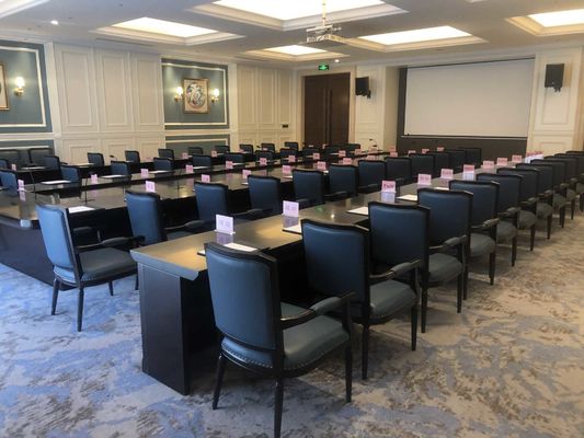il tavolo da pranzo su ordinazione cinque stelle dell'hotel internazionale dell'hotel ha messo Sofa Set su misura impermeabile Wearproof