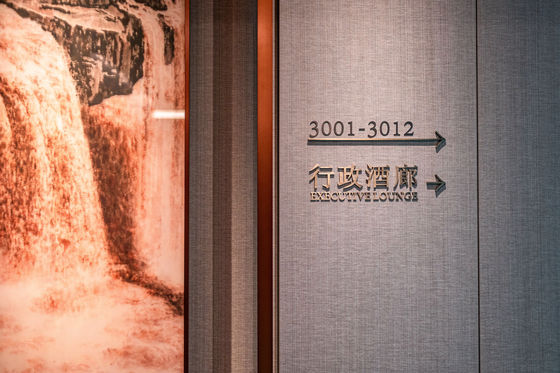 Lounge Executive di lusso e di lusso personalizzato