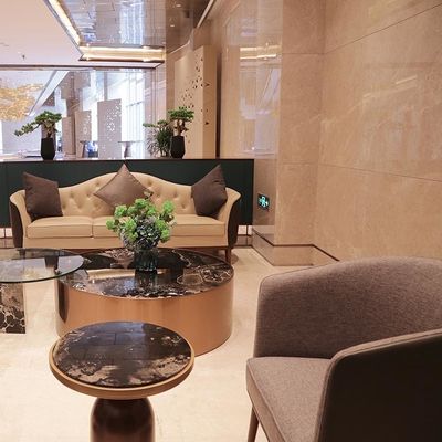 Divano in tessuto finissimo e poltrona sofisticata Set di mobili per la hall dell'hotel